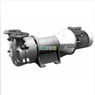 Liquid ring vacuum p
